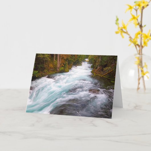 McKenzie River | Oregon Kaart (Gele Bloem)