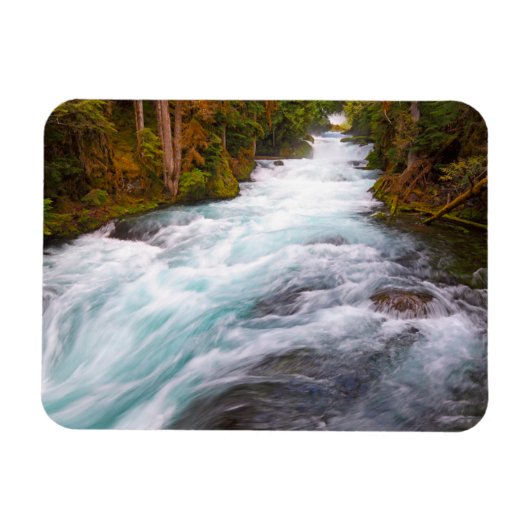 McKenzie River | Oregon Magneet (Horizontaal)
