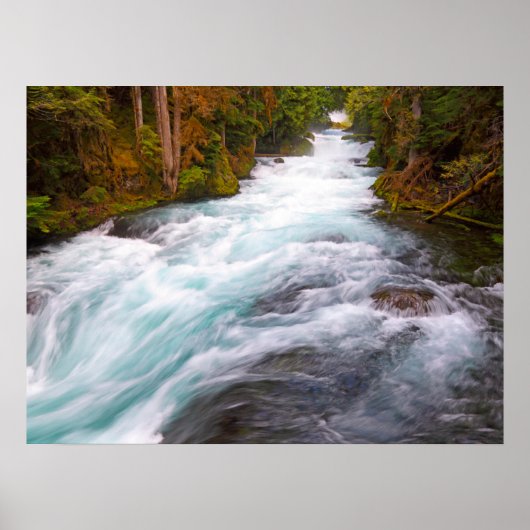 McKenzie River | Oregon Poster (Voorkant)