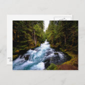 McKenzie River, Oregon, schilderachtig foto Briefkaart (Voorkant / Achterkant)