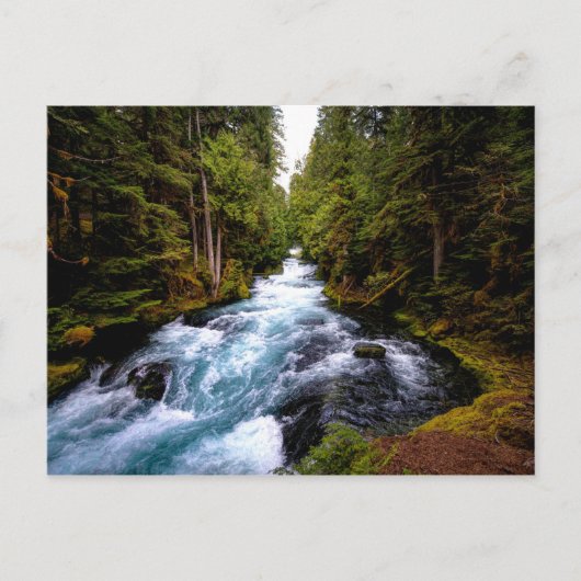 McKenzie River, Oregon, schilderachtig foto Briefkaart (Voorkant)