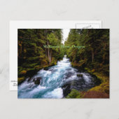 McKenzie River, Oregon, schilderachtig foto Briefkaart (Voorkant / Achterkant)