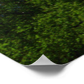 McKinley Poster (Hoek)