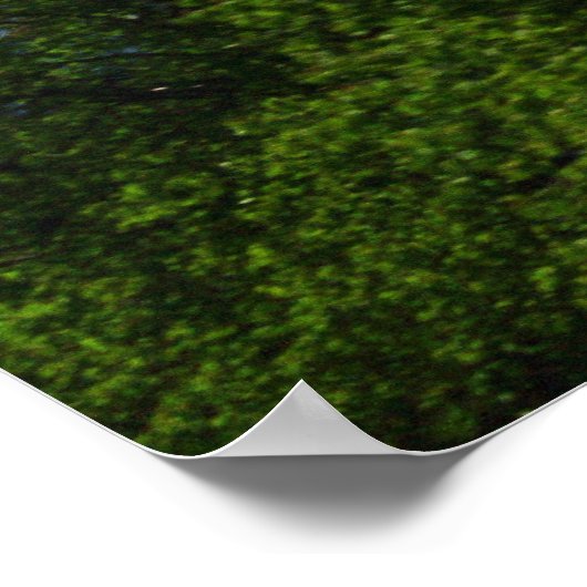 McKinley Poster (Hoek)