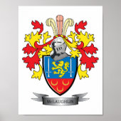 McLaughlin Wapenkat Poster (Voorkant)
