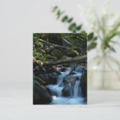 McPhee Creek, Castlegar, British Columbia Briefkaart (Staand voorkant)