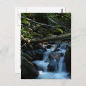 McPhee Creek, Castlegar, British Columbia Briefkaart (Voorkant / Achterkant)