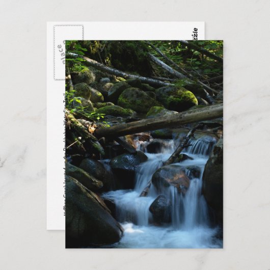 McPhee Creek, Castlegar, British Columbia Briefkaart (Voorkant / Achterkant)