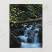 McPhee Creek, Castlegar, British Columbia Briefkaart (Voorkant)