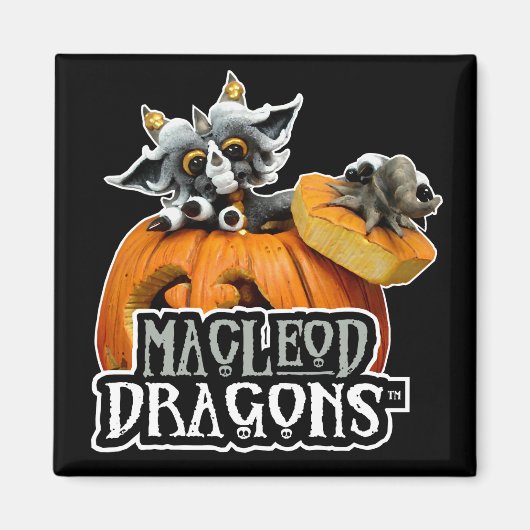MD Pompoen Dragon Logo Magnet (Voorkant)