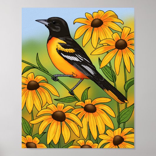 MD Staatsvogel Oriole & Black-eyed Susan Bloem Poster (Voorkant)