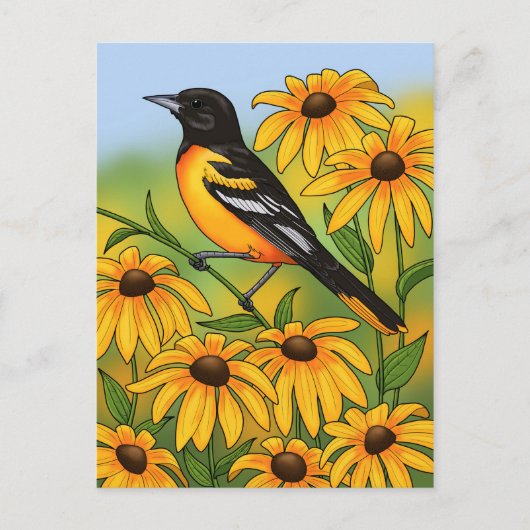MD State Bird Oriole & Black-eyed Susan Flower Briefkaart (Voorkant)