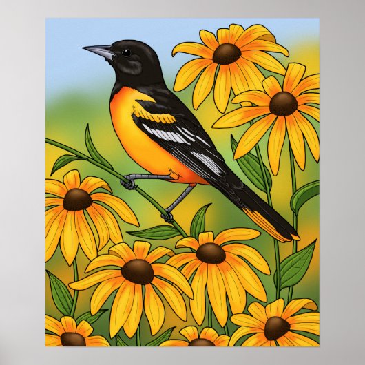MD State Bird Oriole & Black-eyed Susan Flower Poster (Voorkant)