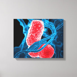 (MDR) Klebsiella pneumoniae abstracte kunstbiologi Canvas Afdruk