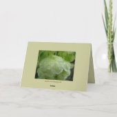 Me bevind niet bij Mijn Ernstige Kaart (Achterkant)