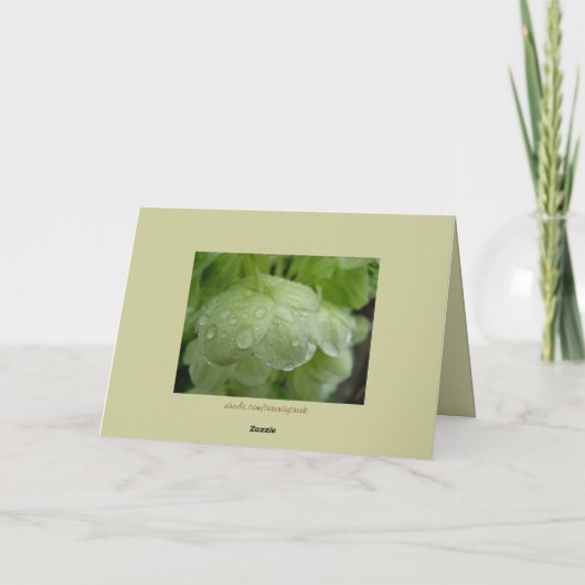 Me bevind niet bij Mijn Ernstige Kaart (Achterkant)