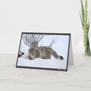 Me en Mijn Vriend Kaart