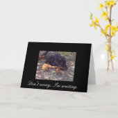 Me maak niet ongerust ik wacht kaart (Gele Bloem)