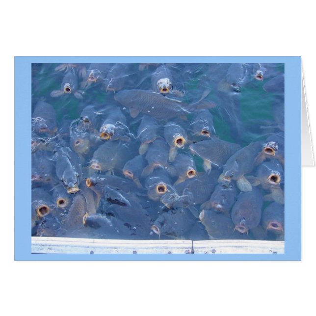 Meadenvisserij (Voorkant Horizontaal)