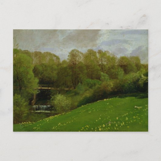 Meadow and Woodland, 1895 Briefkaart (Voorkant)