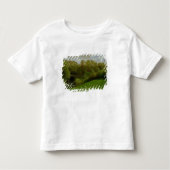 Meadow and Woodland, 1895 Kinder Shirts (Voorkant)