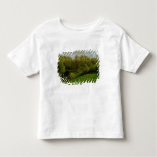 Meadow and Woodland, 1895 Kinder Shirts