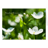 Meadow Anemone Blank Kaart (Voorkant Horizontaal)