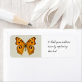 Meadow Argus Butterfly Etiket (Insitu)