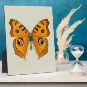 Meadow Argus Butterfly Fotoplaat (Zijkant)