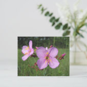 Meadow Beauty Briefkaart (Staand voorkant)