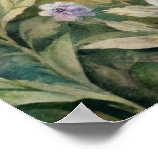 Meadow bloemen en vlinders poster (Hoek)