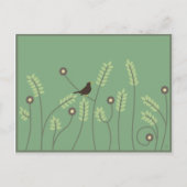 Meadow, briefkaart (Voorkant)