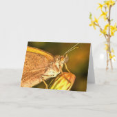 Meadow Brown Beauful Butterfly Art Kaart (Gele Bloem)