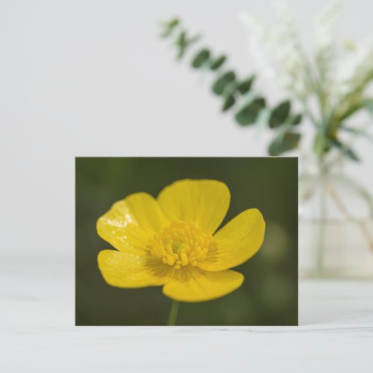 Meadow Buttercup Briefkaart (Staand voorkant)