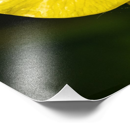 Meadow Buttercup Foto Afdruk (Hoek)