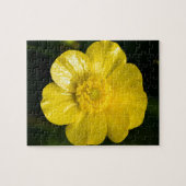 Meadow Buttercup Legpuzzel (Horizontaal)