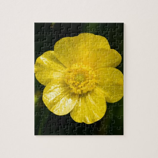 Meadow Buttercup Legpuzzel (Verticaal)