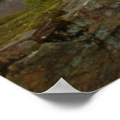 Meadow Creek Herfsten Poster (Hoek)