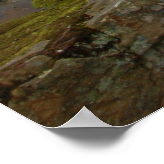 Meadow Creek Herfsten Poster (Hoek)