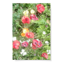 Meadow Dapple Flowers Value Poster - Zeer klein