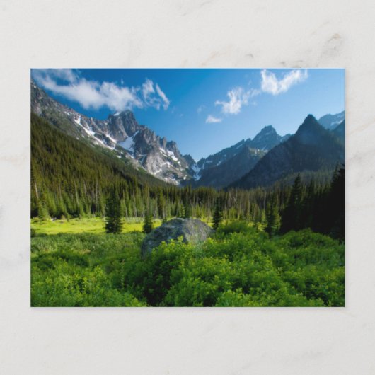 Meadow en Mt. Stuart Briefkaart (Voorkant)