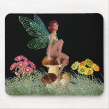 Meadow Fairy Seed on Mushroom at Naight