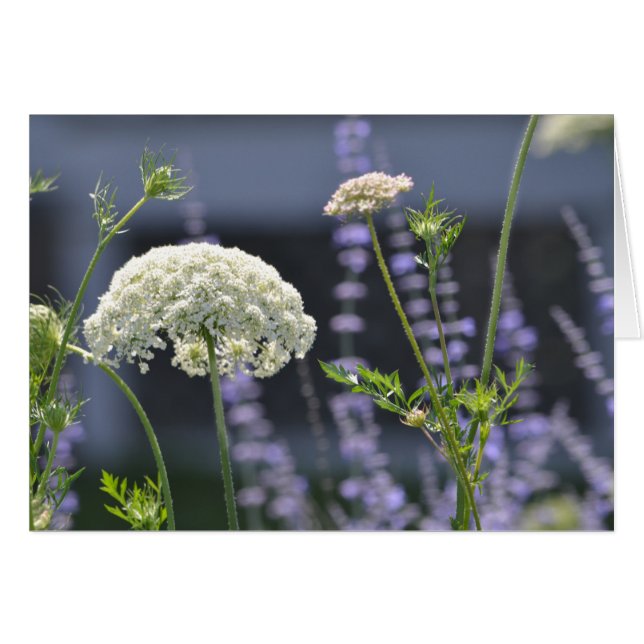 Meadow Flowers (Voorkant Horizontaal)
