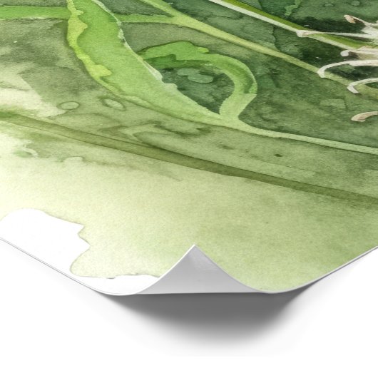 Meadow Fritillary Butterfly Art Print Poster (Hoek)