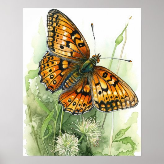 Meadow Fritillary Butterfly Art Print Poster (Voorkant)