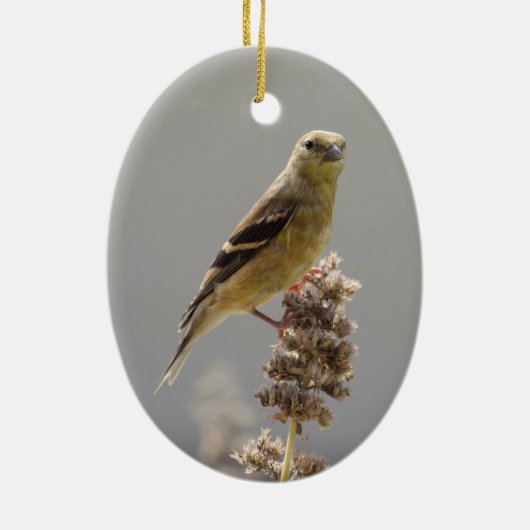 Meadow Goldfinch Keramisch Ornament (Achterkant)