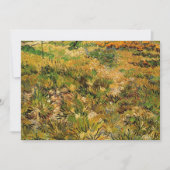 Meadow in het Saint Paul Hospital door Vincent van (Voorkant)