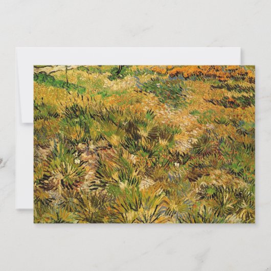 Meadow in het Saint Paul Hospital door Vincent van (Voorkant)