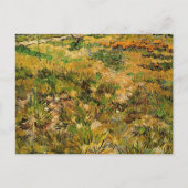 Meadow in het Saint Paul Hospital door Vincent van Briefkaart (Voorkant)