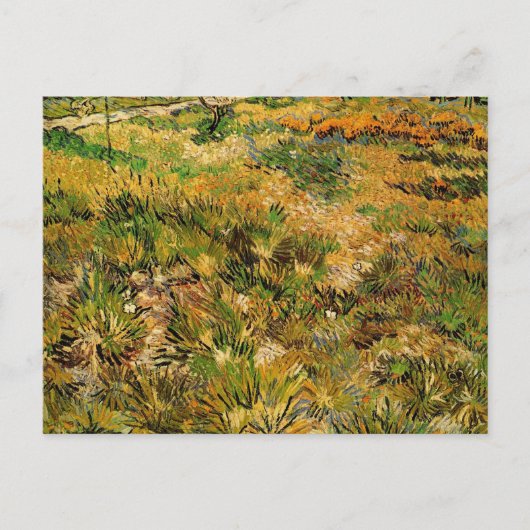 Meadow in het Saint Paul Hospital door Vincent van Briefkaart (Voorkant)